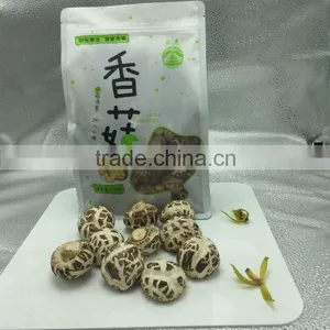 Milky Mushroom Cultivation Supplier thumbnail-1