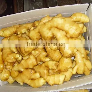 2015 Good Price of the Ginger From Shandong thumbnail-5