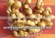 New Chinese Fresh Ginger thumbnail-1