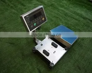 SUS304 Stainless Steel Waterproof Electronic Wash Down Bench Scale thumbnail-3
