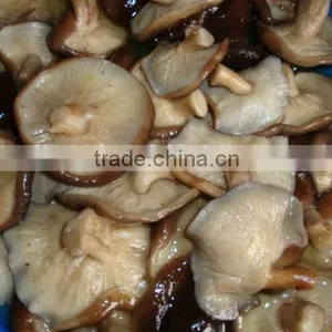 Shiitake Mushroom in Brine Packing Indrum thumbnail-1
