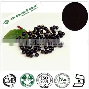 Natural GMP Hot Sale Elderberry Extract 5%Flavone UV thumbnail-1