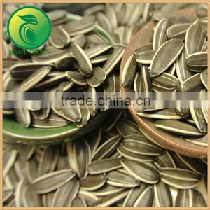 Sunflower Seeds Sunflower Oil Price Bulk thumbnail-3