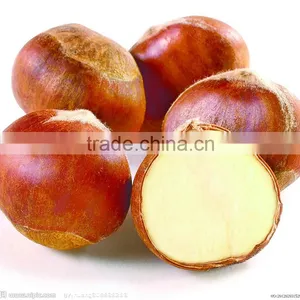 2016 Raw Organic Fresh Chestnuts thumbnail-5
