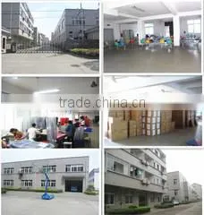 Hangzhou Qingxin Arts&Crafts Co., Ltd. company overview - view 1 thumbnail