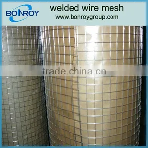 Electric Welded Wire Mesh thumbnail-1