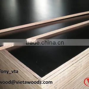 Plywood Film Coated With Brand Name in Vietnam thumbnail-4