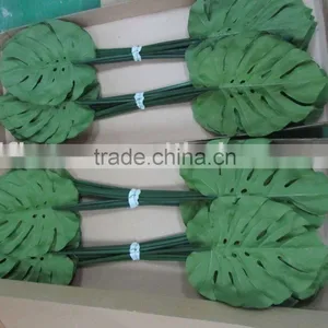 Monstera Leaf-L,no Latex thumbnail-1