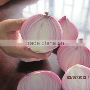Fresh Red Onion thumbnail-1