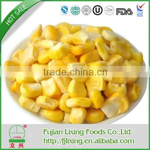 Hot Saled Dried Food FD Corn Powder thumbnail-1