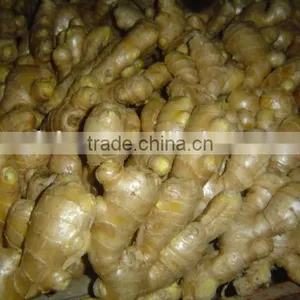 Fresh Air Dried Ginger thumbnail-2