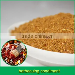 Barbecuing Condiment Spice Blend thumbnail-1