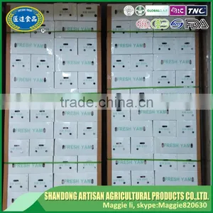 Chinese Yam thumbnail-6
