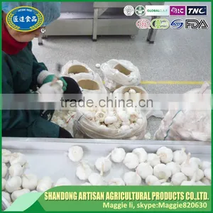 Fresh Garlic for Sale thumbnail-4