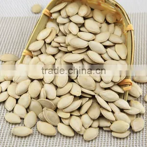 Wholesale RAW Pumpkin Seeds Ton Price thumbnail-2