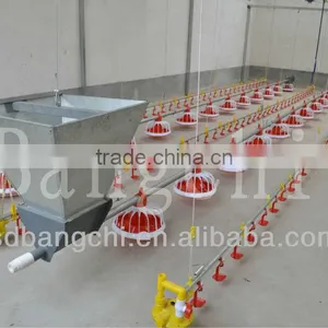 Poultry Automatic Feeding System thumbnail-1