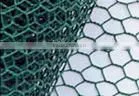 2013top Sales Pvc Coated and Galvanized Hexagonal Wire Mesh( Original Manufacturer With Best Price) thumbnail-5