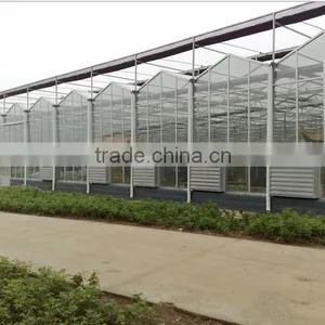2016 New Commercial Used Greenhouse thumbnail-1