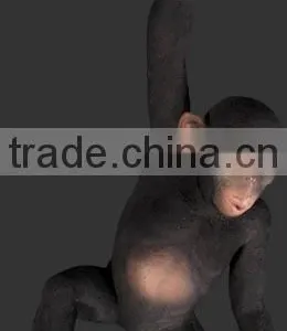 Hanging Monkey thumbnail-1