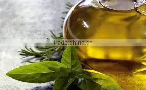 Oregano Oil thumbnail-1