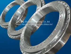 Rks. 302070202001 Slewing Drive Slewing Bearing for Truck Mounted Crane thumbnail-5