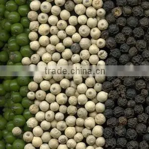 Pepper thumbnail-1