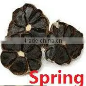 Black Garlic thumbnail-1