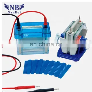 Assessment Serum Protein Electrophoresis in Clinical Diagnosis thumbnail-2