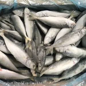 Frozen Horse Mackerel With Small Eyes; Round Scad thumbnail-1