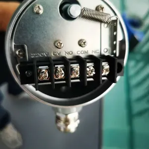 Rotary Paddle Level Switch thumbnail-5