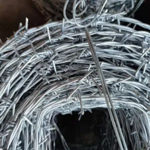 Farm Protection Barbed Wire Fence Hot Dipped Galvanized Steel Wire for Prisons thumbnail-6