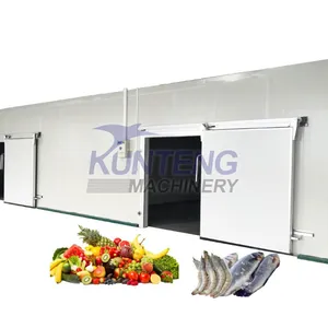 Large Walk in Cold Room for Fish Ice Storage Poultry thumbnail-1
