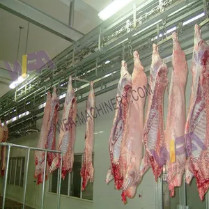 50-500 Heads Per Shift Pig Slaughter Production Line Full Set Pig Abattoir Processing Equipment SUS304 thumbnail-4