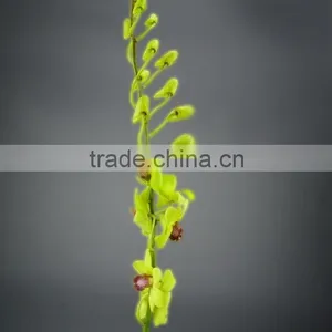 Super Quality Hot Sale Mini Wholesale Violet Orchid Cattleya thumbnail-4