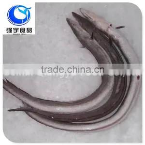 Fresh Frozen Fish Frozen Eel Fish thumbnail-1