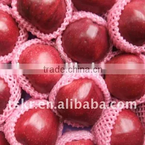 Wholesale Prices Apple Fruit thumbnail-1