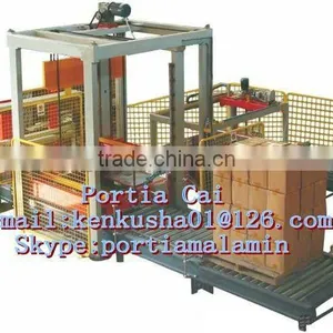 Palletizer Machine thumbnail-1