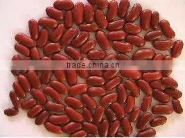 Dark Red Kidney Beans thumbnail-1