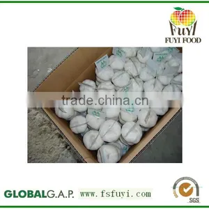 2015 Fresh White Garlic Exporter in China thumbnail-1