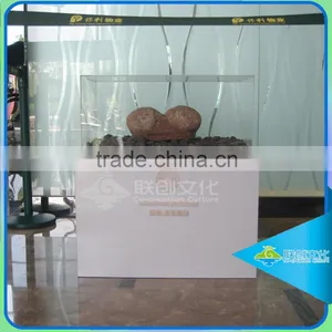 Real Size Dinosaur Fossil Egg for Sale thumbnail-1