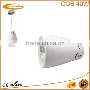 Epistar 10w 20w 30w 40w 50w 60w Dimmable Cob Led Down Light thumbnail-1