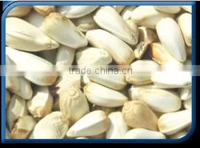 Safflower Seed thumbnail-1