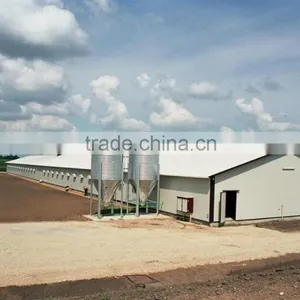 Export to Philippines Prefab Chicken Houses thumbnail-1