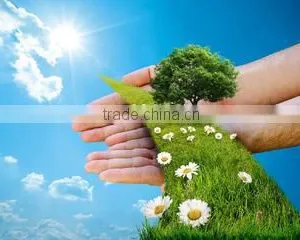 Dongying Golden Ocean International Trading Co., Ltd. company overview - view 3 thumbnail