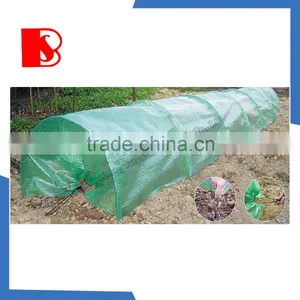 Tunele Foliowy High Tunnel Greenhouse With Steel Frame and Leno pe Cloth thumbnail-6