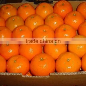 Fresh Mandarin thumbnail-1