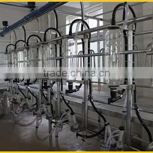 Milking Sheep Parlor in Dairy Farm thumbnail-2