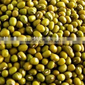 Green Mung Bean Beans/09 Crop thumbnail-1