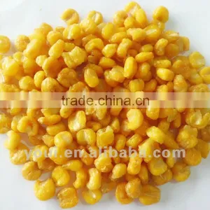 HALAL Certificated Fried Sweet Corn Snacks thumbnail-1