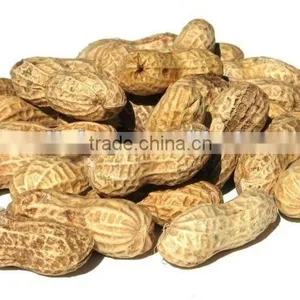 2012 Dried Peanut/peanut Kernel--to Buy Now thumbnail-1